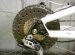 Electric Bicycle Modification